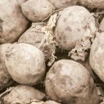 Când sarea obișnuită salvează sfecla de la o soartă neplăcută: sodiul ca cheie a dulceaței cand-sarea-obisnuita-salveaza-sfecla-de-la-o-soarta-neplacuta.jpg