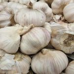 Ce se întâmplă dacă plantezi usturoi lângă căpșuni: o strategie de sprijin reciproc ce-se-intampla-daca-plantezi-usturoi-langa-capsuni-o-strategie.jpg