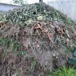 Cum să faci un compost perfect într-un singur sezon: o bucătărie rapidă pentru paturile tale cum-sa-faci-un-compost-perfect-intr-un-singur-sezon-o.jpg