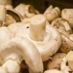 Ce se întâmplă dacă prăjești ciuperci umede: de ce se transformă într-o tocană cauciucată, nu într-o delicatesă aurie ce-se-intampla-daca-prajesti-ciuperci-umede-de-ce-se.jpg