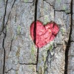 De ce sunt necesare limite personale într-un cuplu: dacă iubirea nu este o fuziune într-un singur organism de-ce-sunt-necesare-limite-personale-intr-un-cuplu-daca-iubirea.jpg